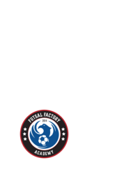 Futsal Factory Academy